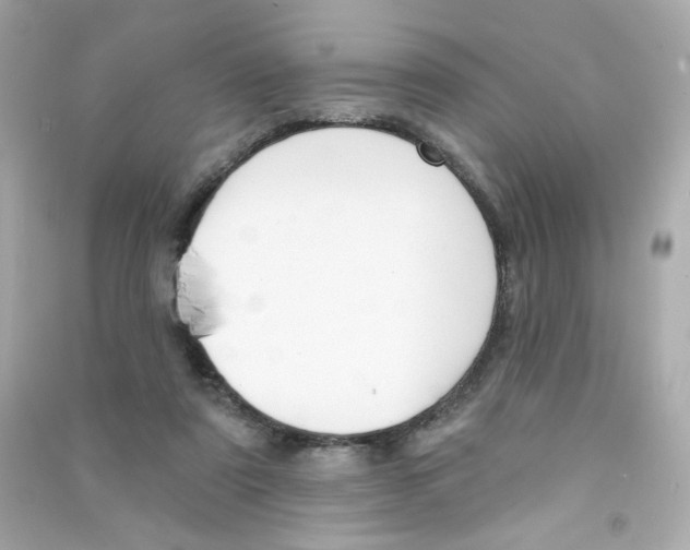 X0000090420307200708101948