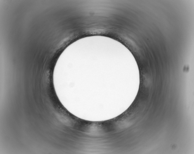 X0000090420308200708101948