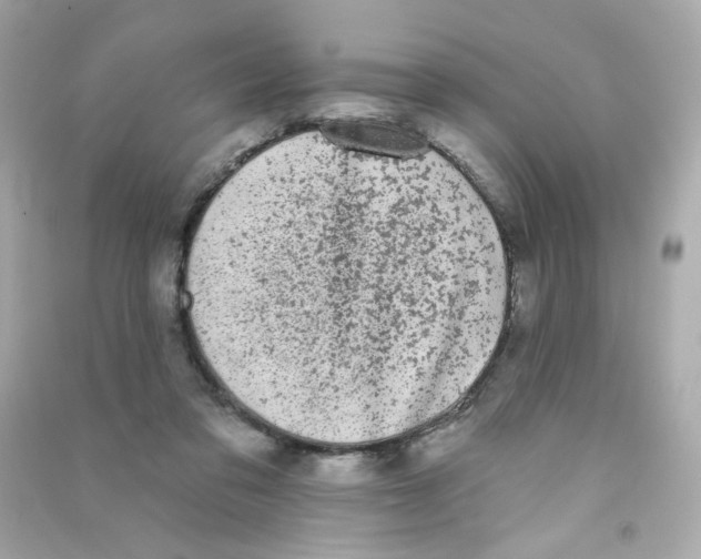 X0000090420309200708101948