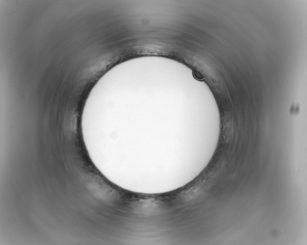 X0000090420310200708101948