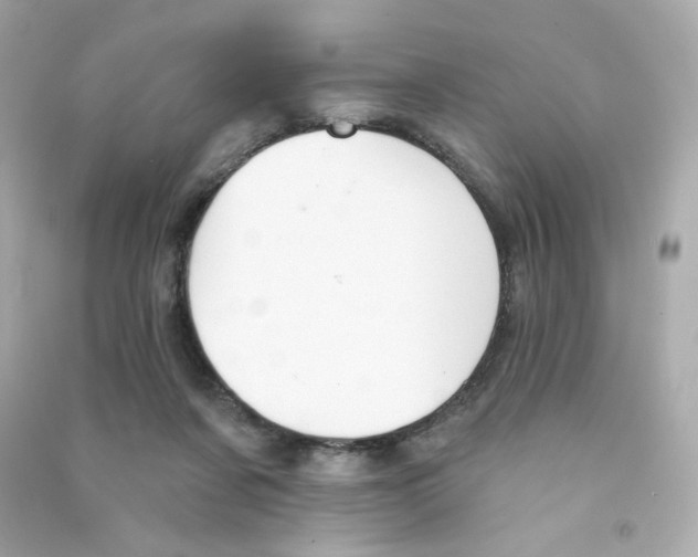 X0000090420311200708101948