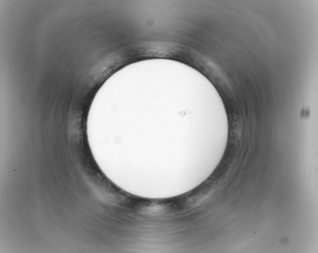 X0000090420312200708101948