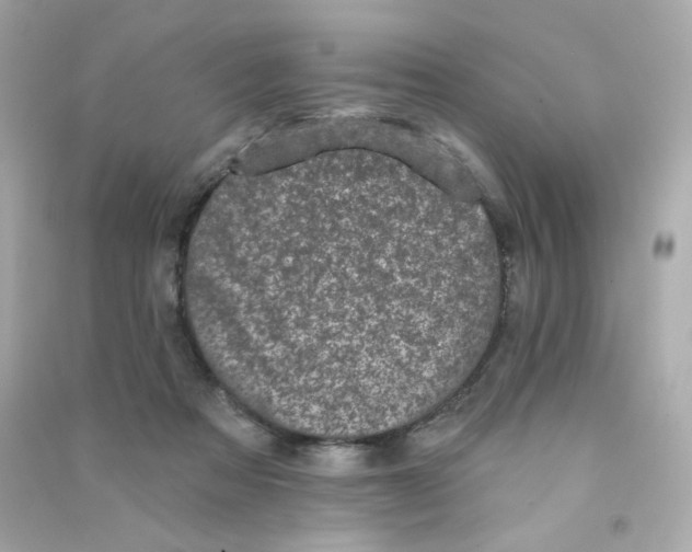 X0000090420313200708101948