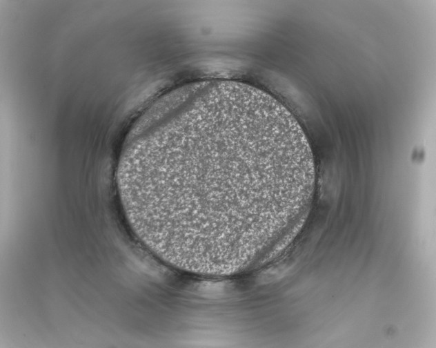 X0000090420314200708101948