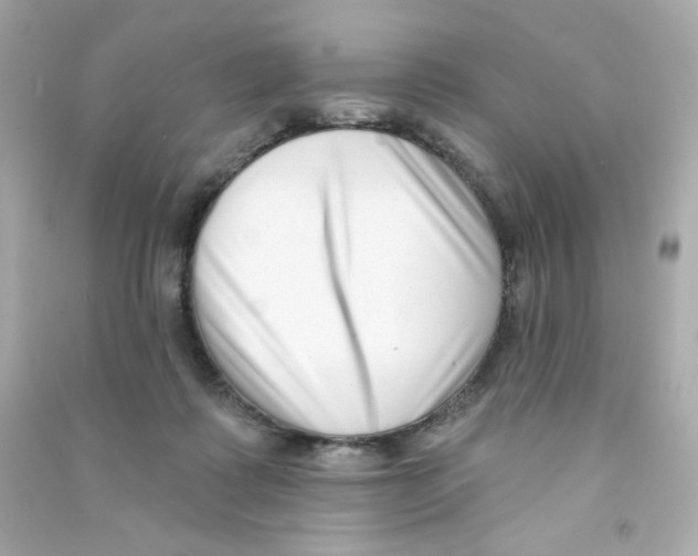 X0000090420315200708101948