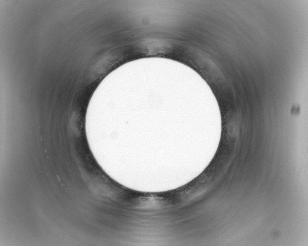 X0000090420316200708101948