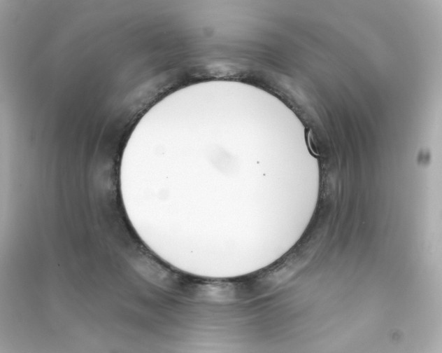 X0000090420317200708101948