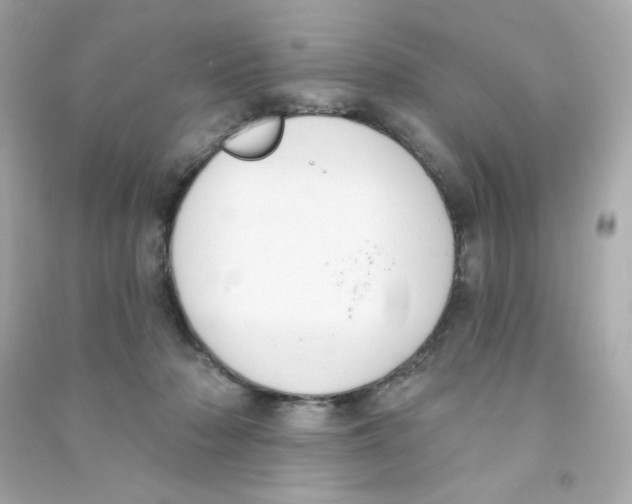 X0000090420318200708101948