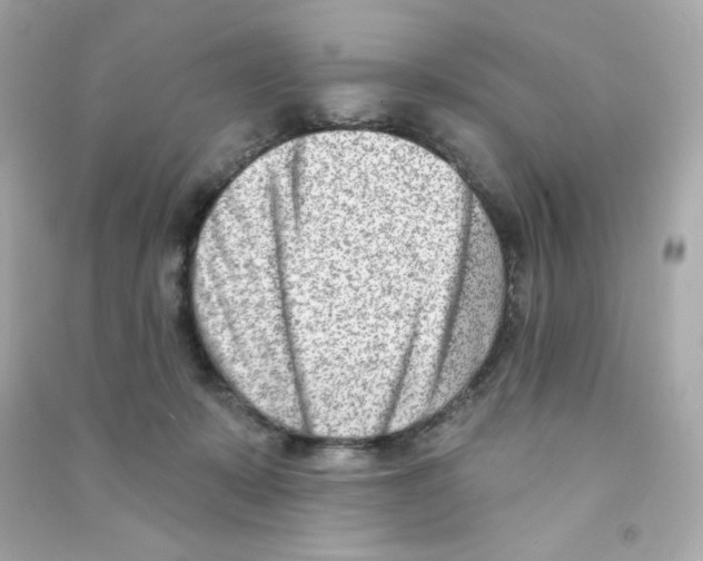 X0000090420319200708101948