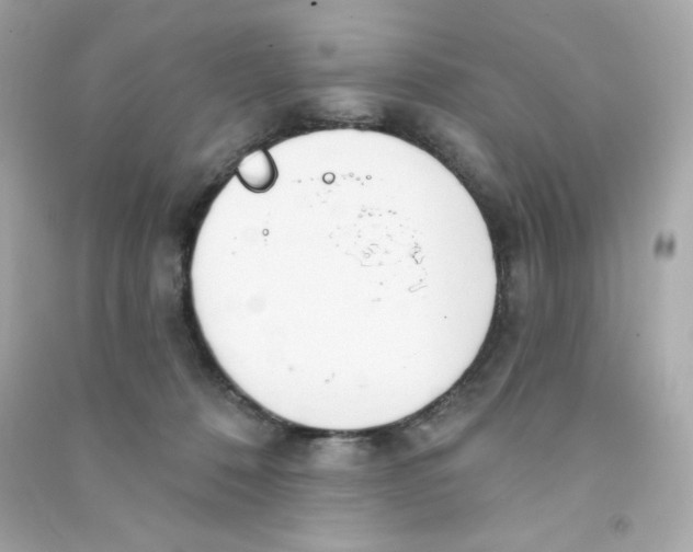 X0000090420320200708101948
