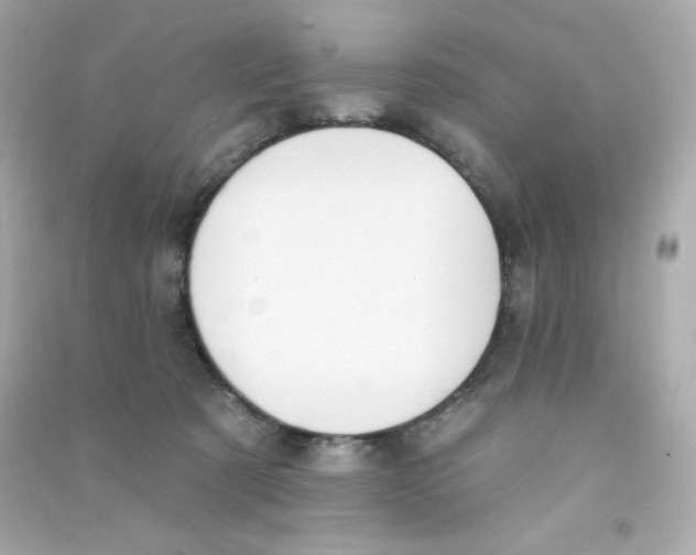 X0000090420321200708101948