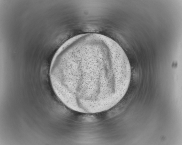 X0000090420322200708101948