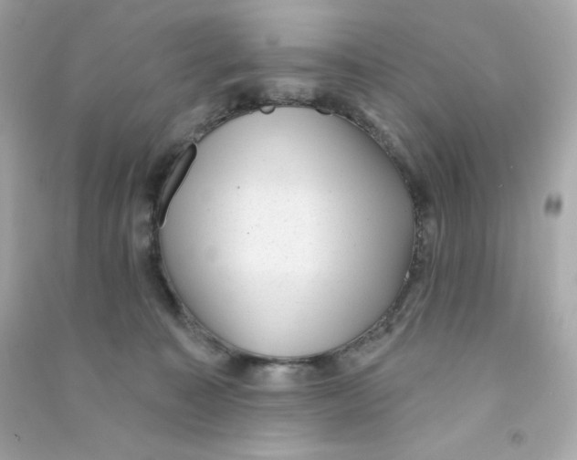 X0000090420323200708101948