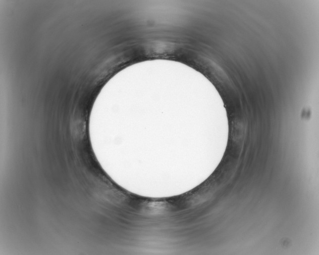 X0000090420324200708101948