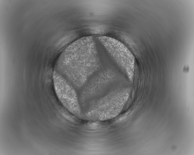 X0000090420325200708101948