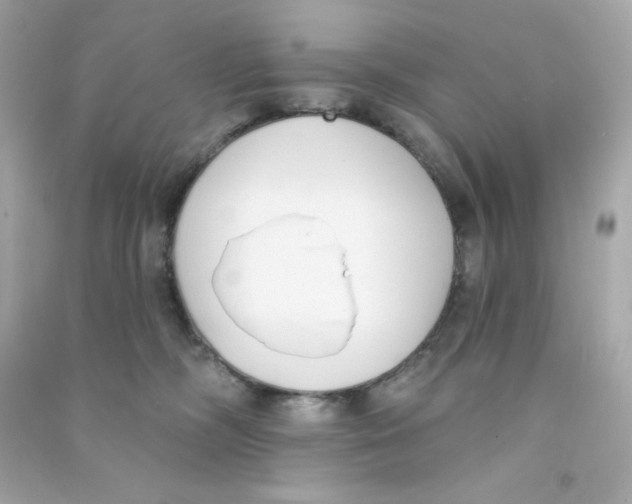 X0000090420326200708101948