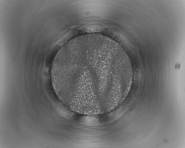 X0000090420327200708101948