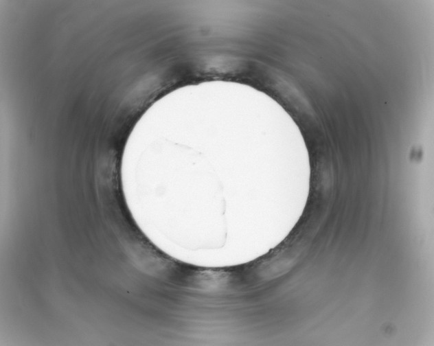 X0000090420328200708101948