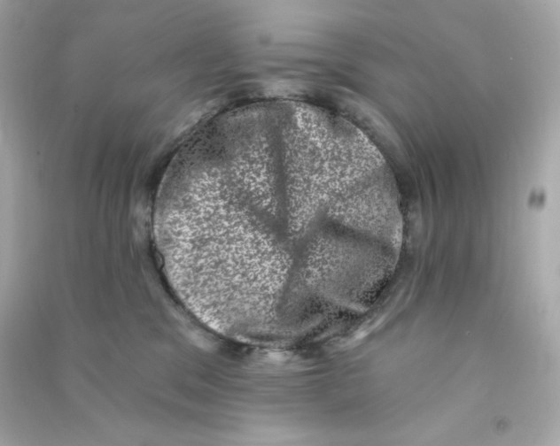 X0000090420329200708101948