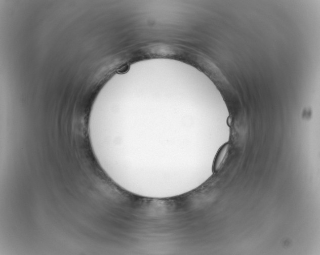 X0000090420330200708101948