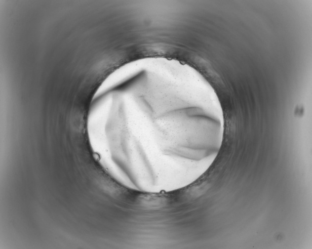 X0000090420331200708101948