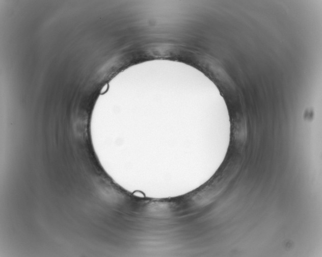 X0000090420332200708101948
