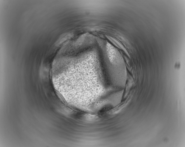 X0000090420333200708101948