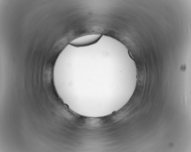 X0000090420334200708101948