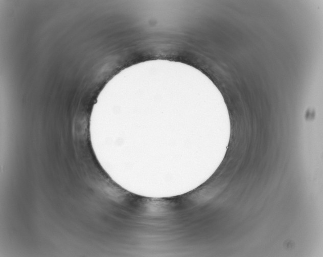 X0000090420336200708101948