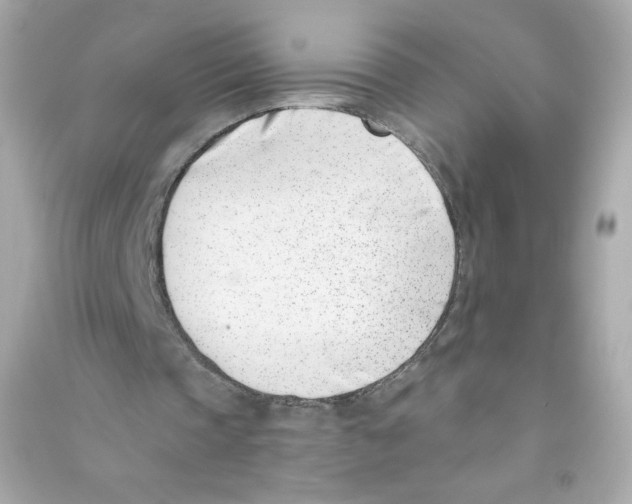 X0000090420337200708101947