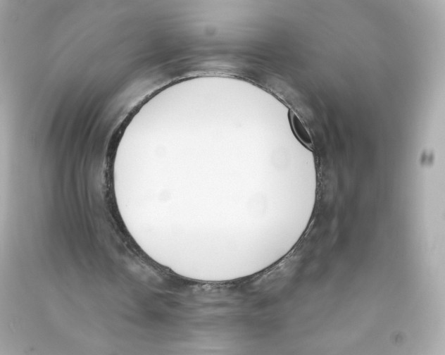 X0000090420338200708101947