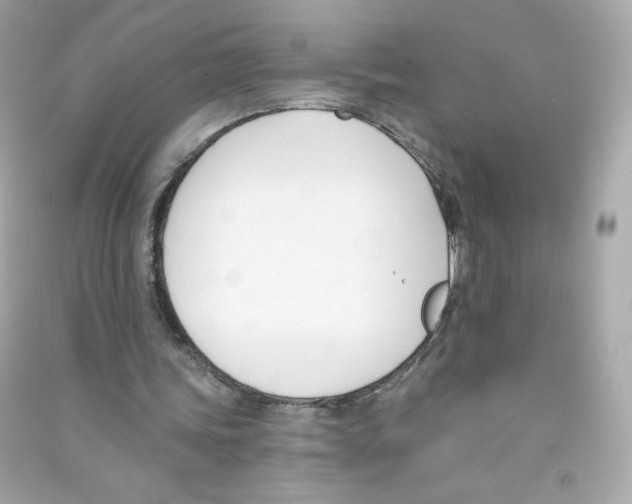 X0000090420339200708101947