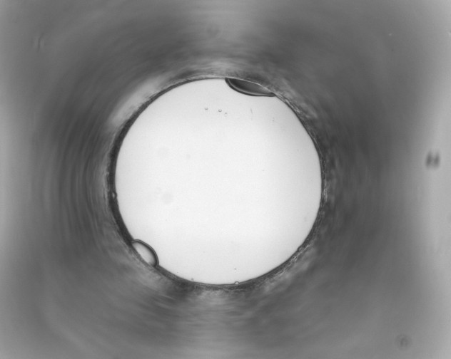 X0000090420341200708101947