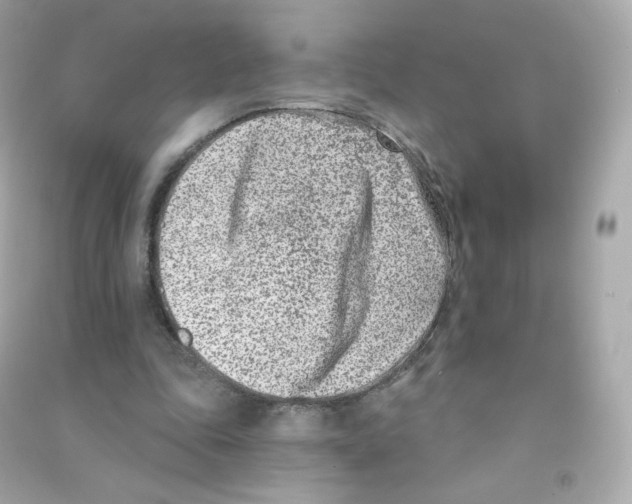 X0000090420343200708101947