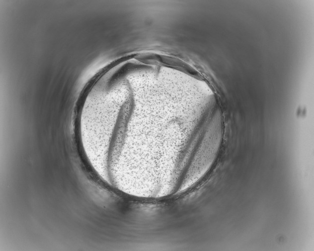 X0000090420344200708101947