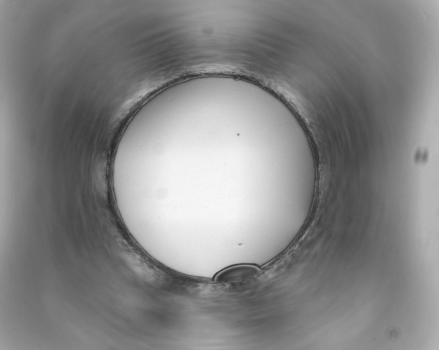 X0000090420345200708101947