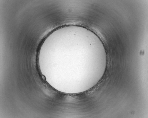 X0000090420346200708101947