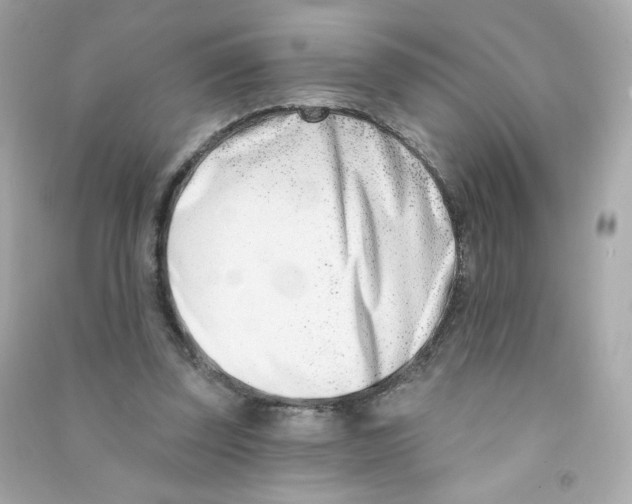 X0000090420347200708101948