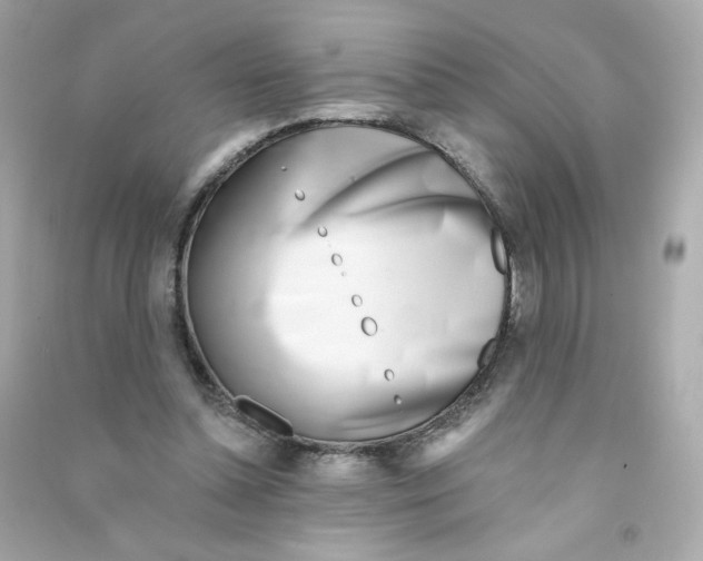 X0000090420348200708101948