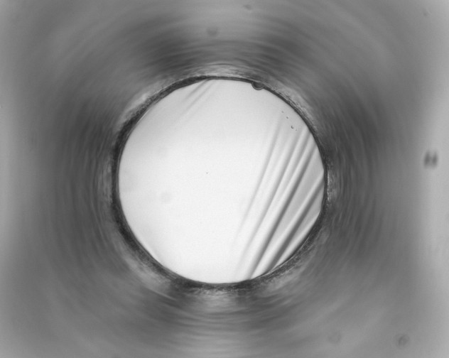 X0000090420349200708101948