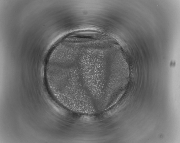 X0000090420350200708101948