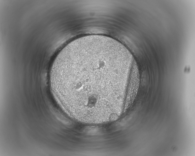 X0000090420351200708101948
