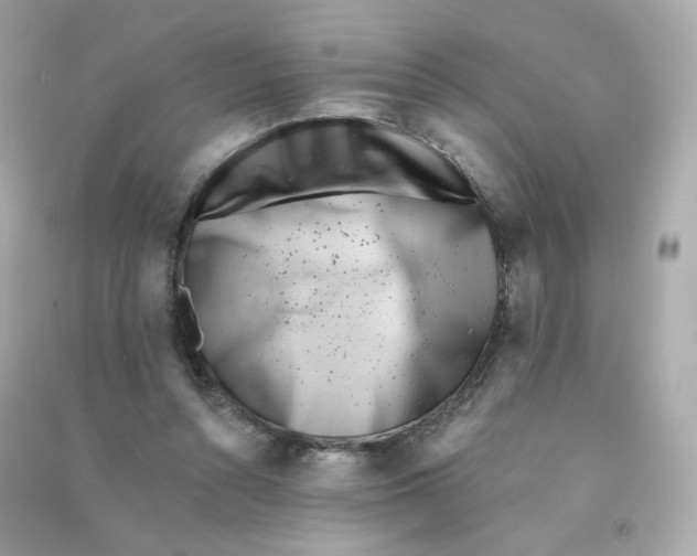 X0000090420352200708101948