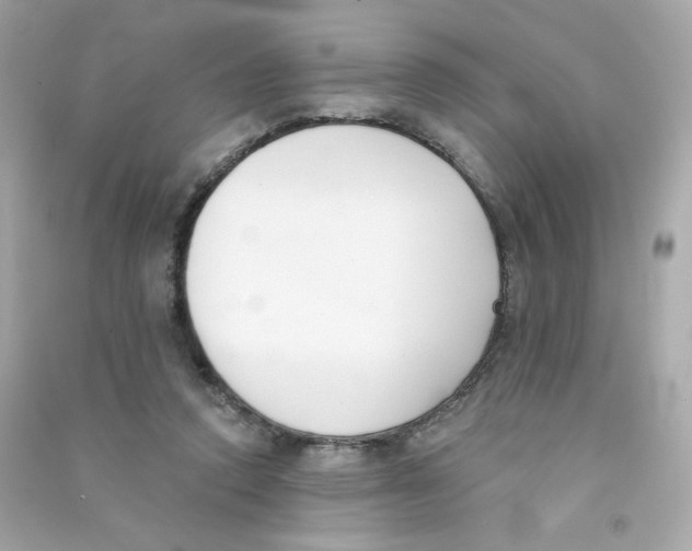 X0000090420354200708101948