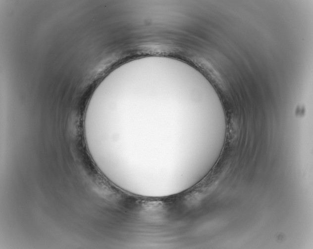 X0000090420355200708101948