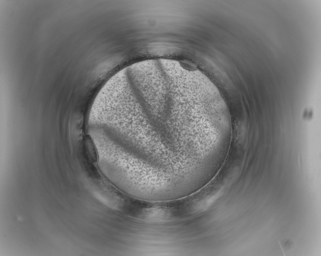 X0000090420356200708101948