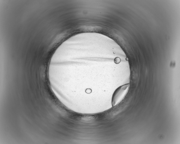 X0000090420357200708101948