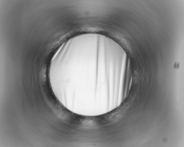 X0000090420358200708101948
