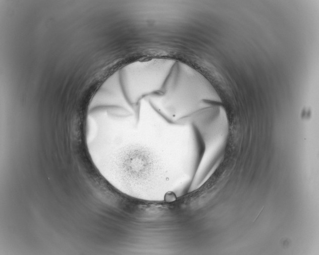 X0000090420359200708101948