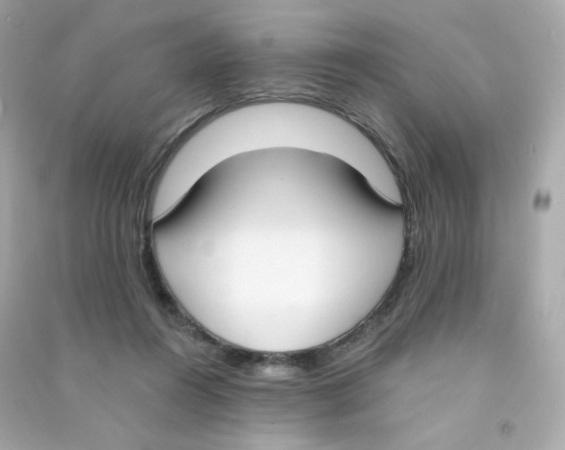 X0000090420360200708101948